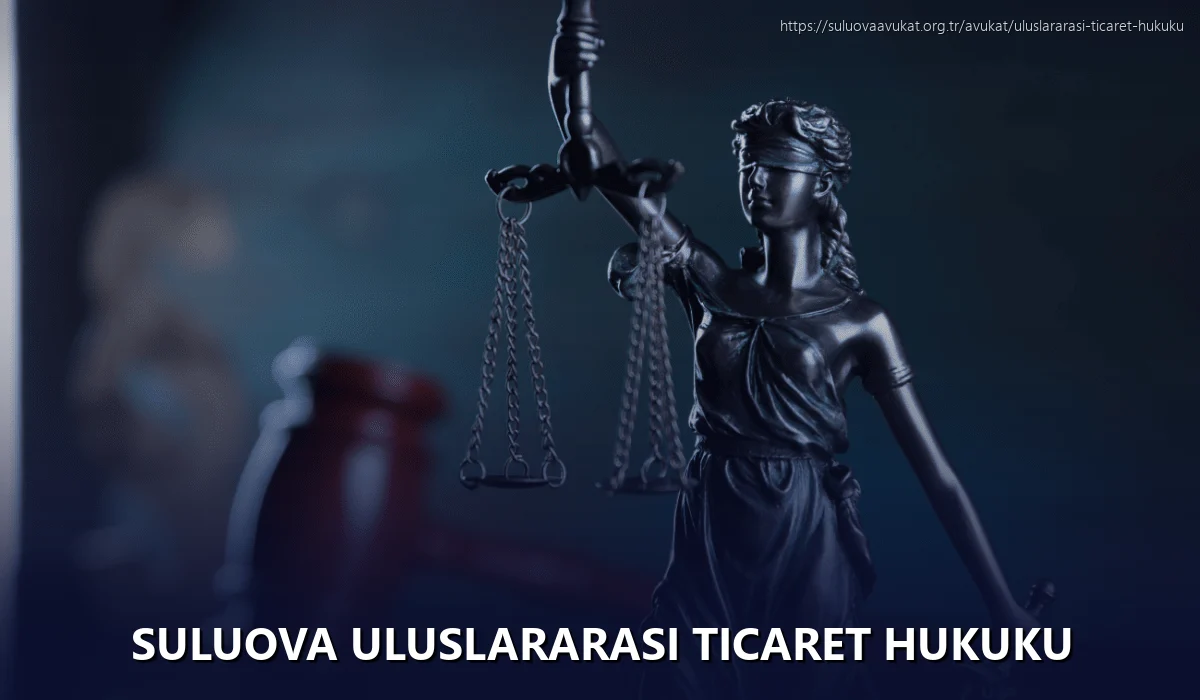Suluova Uluslararası Ticaret Hukuku